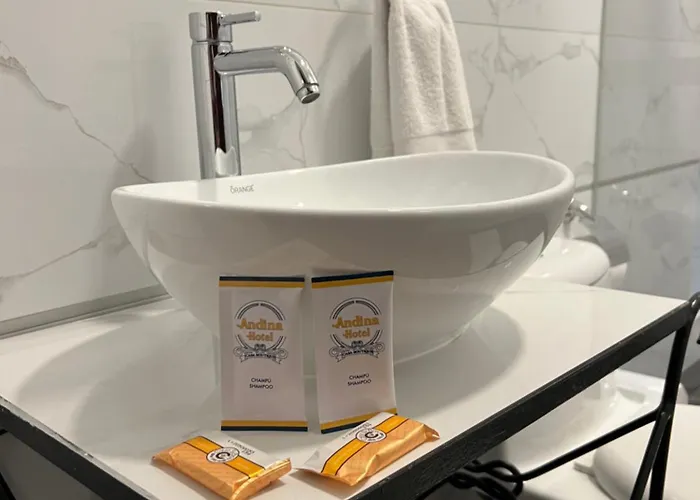 Andina Hotel