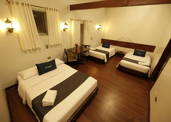 Hotel Andina