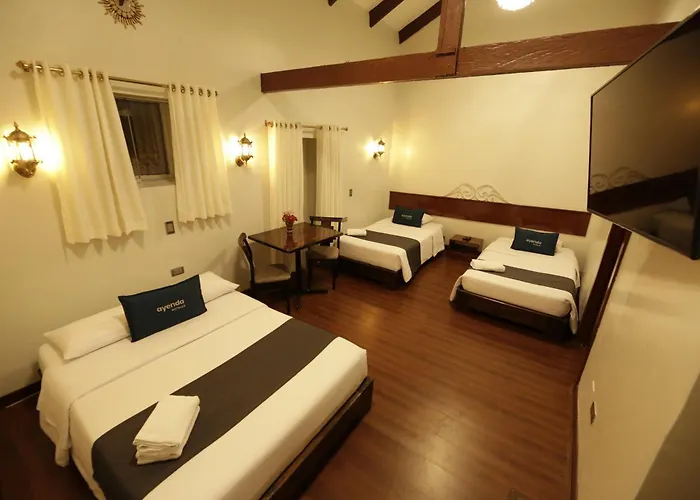 Andina Hotel *