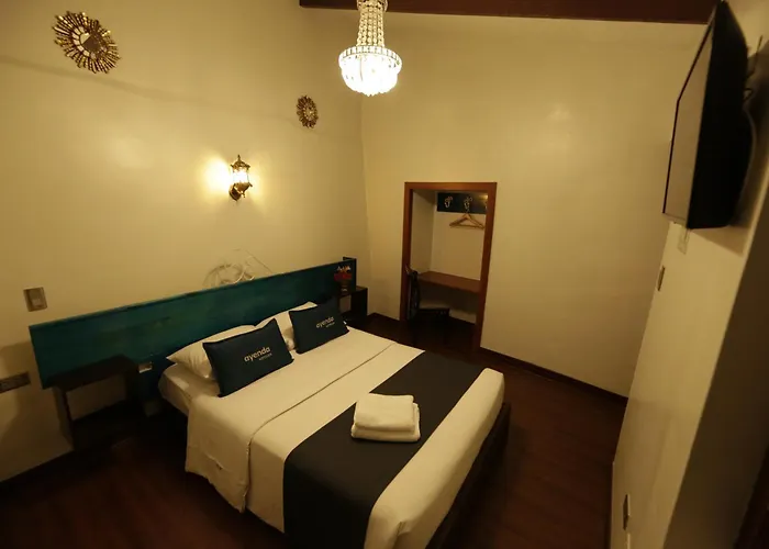 Hotel Andina *