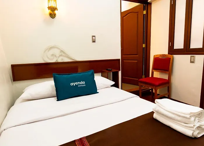 Hotel Andina *